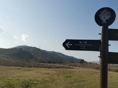 -径山花海
