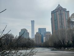 -团结湖公园