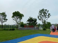 -黄海国家森林公园