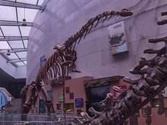 -陕西自然博物馆