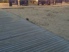 -西涌国际滨海旅游区