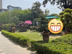 -大可堂普洱茶馆(襄阳南路馆)