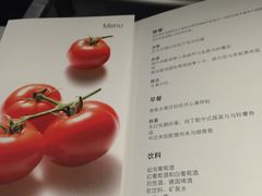 -德国汉莎航空公司