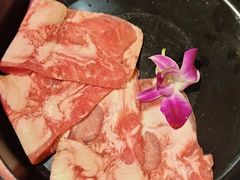 -十三幺山野火锅(市府路店)