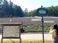 -富田农场
