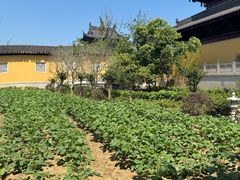 -重元寺香积厨素斋馆