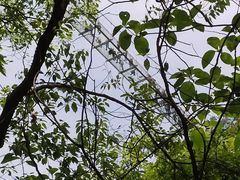 -宁波五龙潭景区