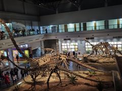 -自贡恐龙博物馆