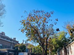 -天津五大道文化旅游区