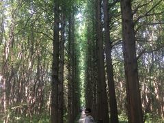 -同里国家湿地公园
