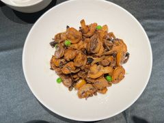 黑松露绣球菌-江南雅厨(李公堤店)
