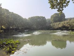 -河南省黄河迎宾馆