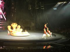 -广州长隆国际大马戏