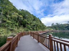 -海南热带雨林国家公园吊罗山景区
