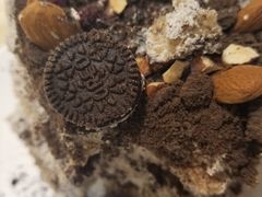 -EnergyCake蛋糕理想国
