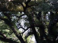 -古堰画乡景区