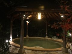 -天目湖涵田半山温泉