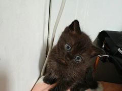 -惠康宠物医院(华能路店)