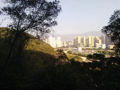 -金鸡山公园