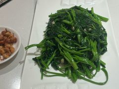 -煲煲好(朝阳门店)