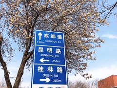 -天津五大道文化旅游区