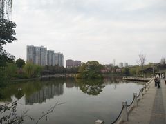 -荆川公园