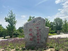 -野鸭湖国家湿地公园