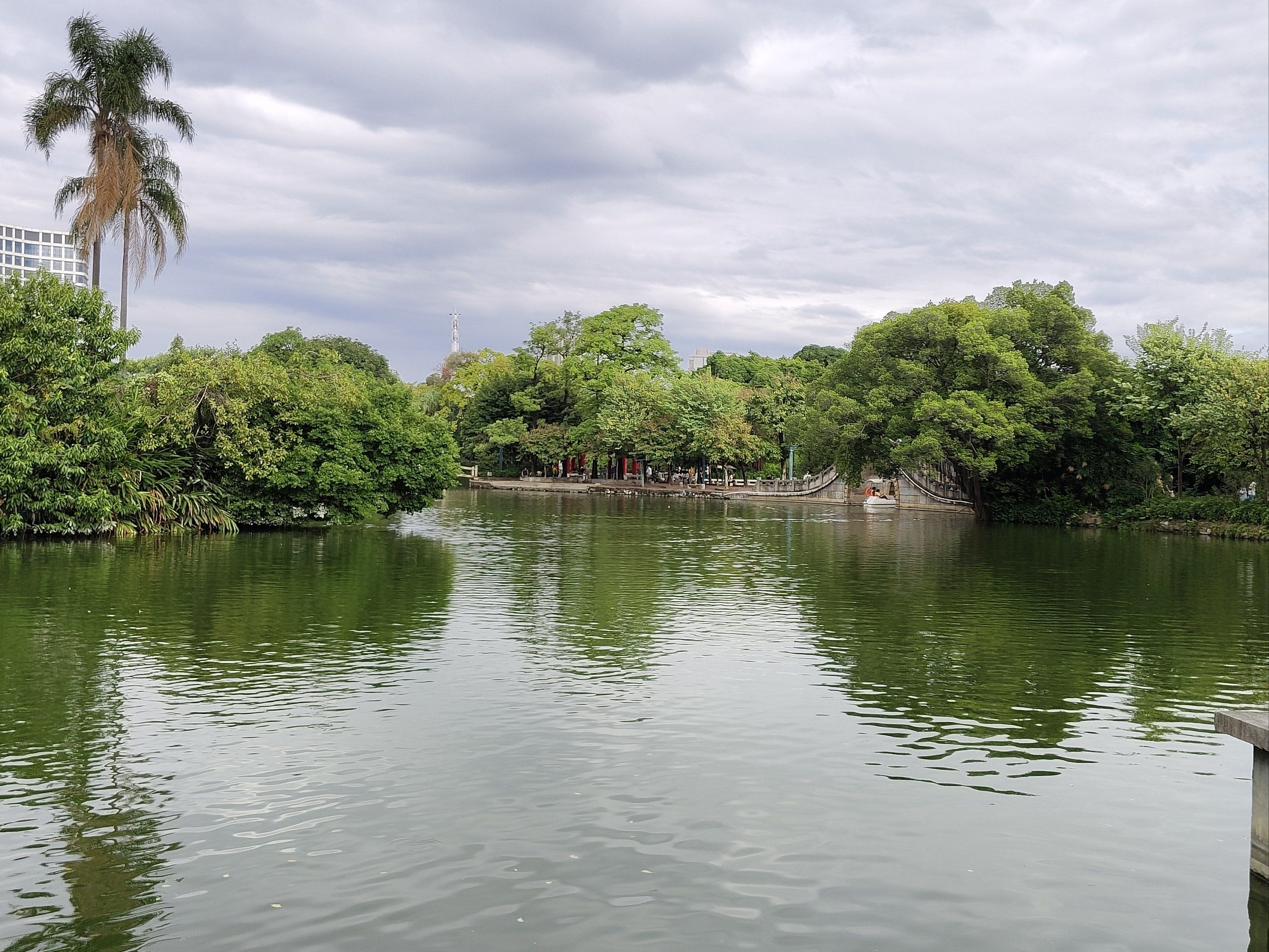 禅城中山公园悠闲行