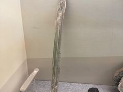 -甘肃地质博物馆