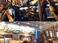 -国家自然博物馆