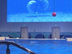 -石家庄极地海洋世界