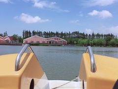 -上海长兴岛郊野公园