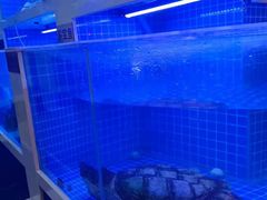 -金彤川菜(西稍门店)