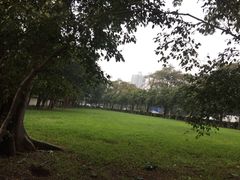 -细村农贸综合市场