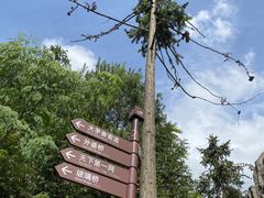 -玻璃桥景区石牛寨
