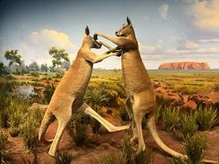 -陕西自然博物馆