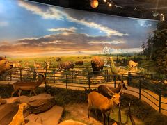 -陕西自然博物馆