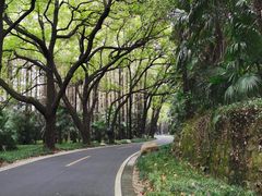 -采石矶景区
