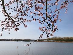 -大兴滨河森林公园