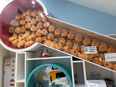 -极橙儿童齿科矫正中心(奥城店)