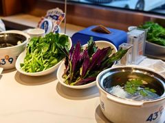 -红山国家森林公园