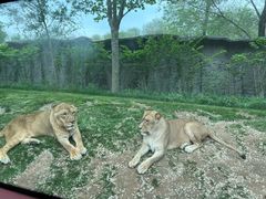 -北京野生动物园