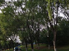 -永定河休闲森林公园