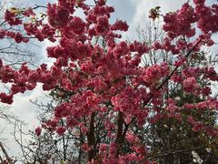 -名花谷生态庄园