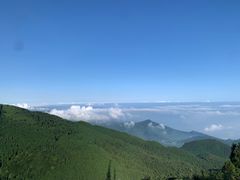 -武陵山森林公园