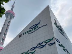 -上海海洋水族馆