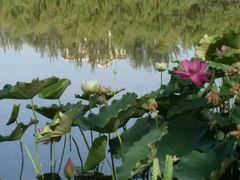 -党河风情线国家水利风景区