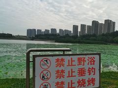 -丁香湖公园