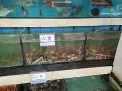 水产区-秋姐美食店(旅游大道店)