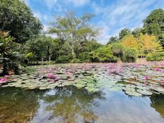 -中国科学院西双版纳热带植物园
